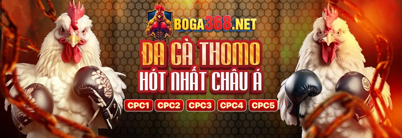 Cá cược thể thao tại winwin trang chủ chính thức 2026